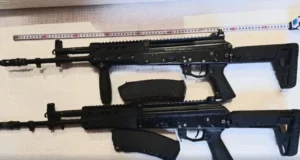 На Львівщині мешканці задекларували понад 270 одиниць незареєстрованої зброї