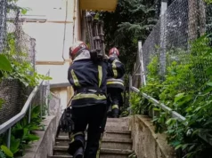 У Львові рятувальники через вікно потрапили до квартири 88-річної жінки У Львові рятувальники через вікно потрапили до квартири 88-річної жінки