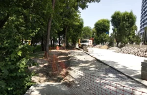 У Франківському районі Львова зріжуть дерева через ремонт мереж