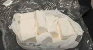 На Львівщині двох учасників групи збуту кокаїну засудили до 9 років