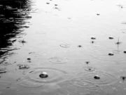 У Львові до кінця доби триватиме дощ, завтра очікують туман і грозу