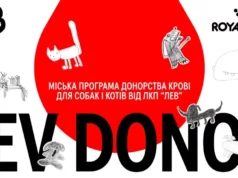У Львові стартує міська програма донорства крові для тварин LEV DONOR У Львові стартує міська програма донорства крові для тварин LEV DONOR