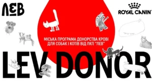 У Львові стартує міська програма донорства крові для тварин LEV DONOR