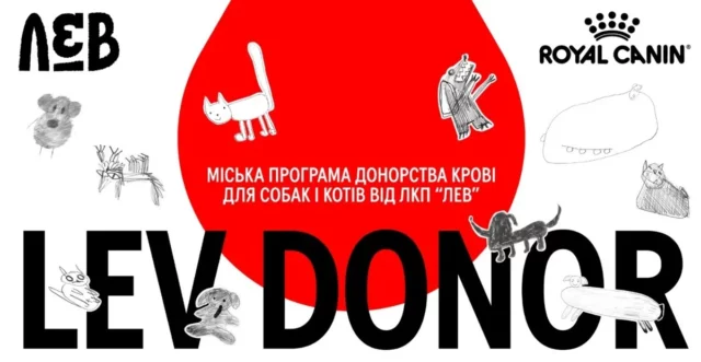 image У Львові стартує міська програма донорства крові для тварин LEV DONOR