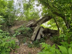 У Львові впорядкують узбіччя до Голосківського кладовища У Львові впорядкують узбіччя до Голосківського кладовища
