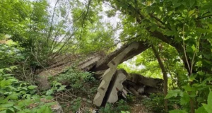 У Львові впорядкують узбіччя до Голосківського кладовища