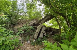 У Львові впорядкують узбіччя до Голосківського кладовища