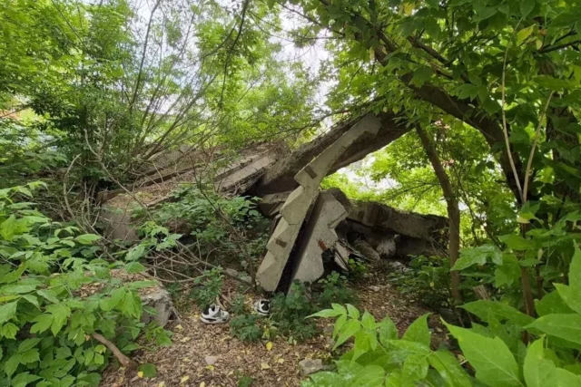 У Львові впорядкують узбіччя до Голосківського кладовища
