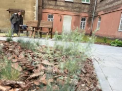 У Львові підлітки створили громадський простір біля 5-ї лікарні У Львові підлітки створили громадський простір біля 5-ї лікарні