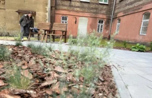 У Львові підлітки створили громадський простір біля 5-ї лікарні