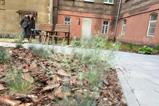 У Львові підлітки створили громадський простір біля 5-ї лікарні