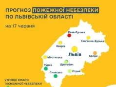(Українська) Прогноз пожежної небезпеки на 17 червня Прогноз пожежної небезпеки на 17 червня