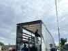У дитсадку «Соняшник» Великомостівської громади встановлять сучасні енергонакопичувачі та сонячні станції