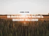 На Львівщині оголосили надзвичайну пожежну небезпеку