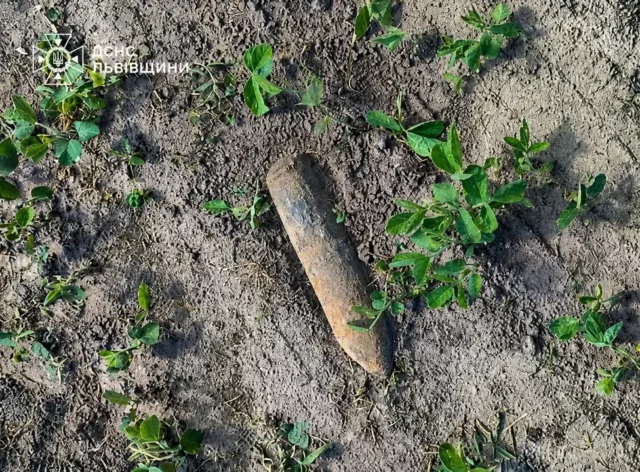 image У Золочівському районі знищили два артснаряди часів Другої світової війни
