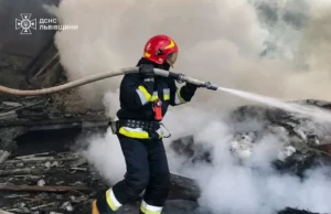 На Львівщині за добу ліквідували 18 пожеж, з них шість в екосистемах На Львівщині за добу ліквідували 18 пожеж, з них шість в екосистемах