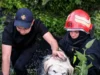 У Винниках рятувальники витягнули собаку з триметрової канави