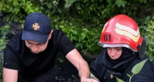 У Винниках рятувальники витягнули собаку з триметрової канави