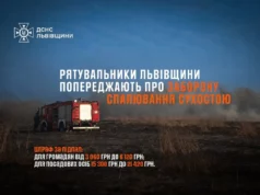На Львівщині за добу загасили 15 пожеж в екосистемах На Львівщині за добу загасили 15 пожеж в екосистемах