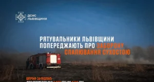 На Львівщині за добу загасили 15 пожеж в екосистемах