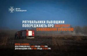 На Львівщині за добу загасили 15 пожеж в екосистемах