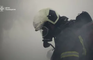 На Львівщині за добу рятувальники загасили 28 пожеж, з них 15 в екосистемах