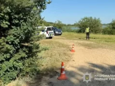 У Терновиці на Яворівщині автомобіль травмував шестирічного хлопчика У Терновиці на Яворівщині автомобіль травмував шестирічного хлопчика