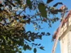 У селі Холодновідка рятувальники ліквідовують пожежу