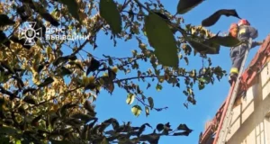 У селі Холодновідка рятувальники ліквідовують пожежу