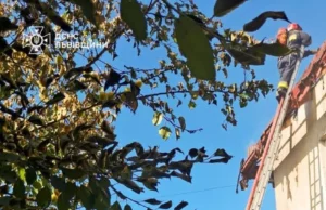 У селі Холодновідка рятувальники ліквідовують пожежу