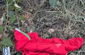 У Ходорові біля залізничного вокзалу пограбували чоловіка з інвалідністю