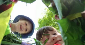 Багатодітні сімʼї Львівської громади можуть отримати разову допомогу на відпочинок дітей