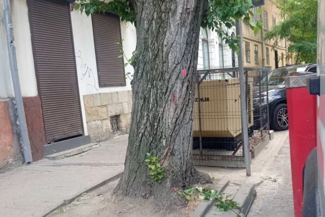 image На вул.