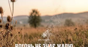 На Львівщині за добу ліквідували 11 пожеж сухої трави