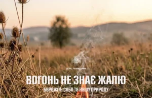На Львівщині за добу ліквідували 11 пожеж сухої трави
