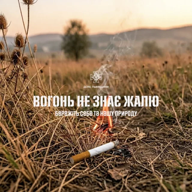 На Львівщині за добу ліквідували 11 пожеж сухої трави