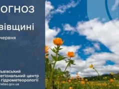 На Львівщині прогнозують грози, дощі та туман