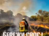 На Львівщині за добу загасили 18 пожеж в екосистемах