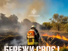 На Львівщині за добу загасили 18 пожеж в екосистемах