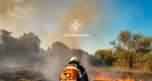 На Львівщині за добу загасили 18 пожеж в екосистемах