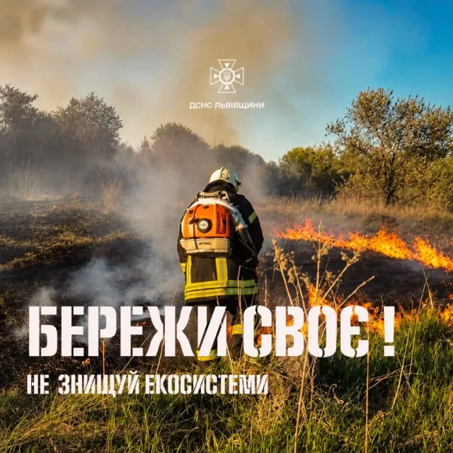 На Львівщині за добу загасили 18 пожеж в екосистемах