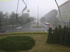 У Львові негода повалила дерева, пошкодила контактну мережу й дах адмінбудівлі