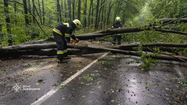 На Львівщині рятувальники прибирають повалені через негоду дерева