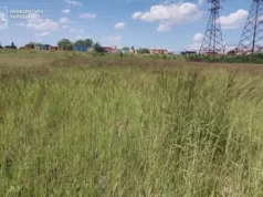 У Львові судитимуть держреєстраторку, через дії якої громада втратила землю на 22 млн грн