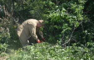 Фахівці центру «Доля» впорядкували український цвинтар у Ласкові в Польщі