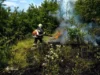 На Львівщині за добу ліквідували 35 пожеж у природних екосистемах