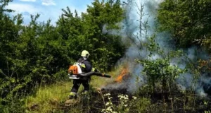 На Львівщині за добу ліквідували 35 пожеж у природних екосистемах