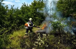 На Львівщині за добу ліквідували 35 пожеж у природних екосистемах На Львівщині за добу ліквідували 35 пожеж у природних екосистемах