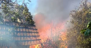 У Великих Глібовичах ліквідували масштабну пожежу в приватному господарстві