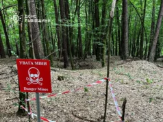 На Золочівщині піротехніки ДСНС знищили артснаряд часів Другої світової війни На Золочівщині піротехніки ДСНС знищили артснаряд часів Другої світової війни